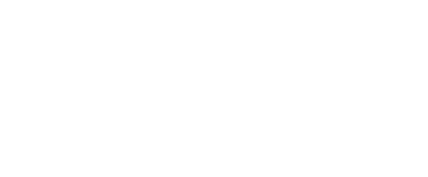 Talia Makina — industrial pasta production line manufacturer