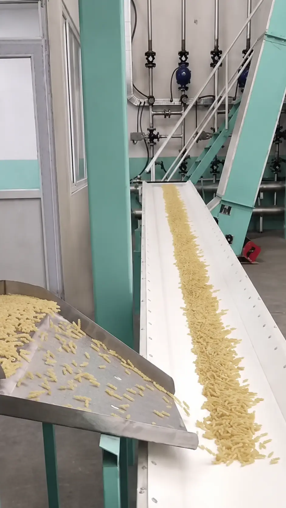 Talia Makina pasta production line installed in Georgia